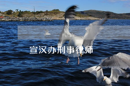 宣汉办刑事律师 宣汉办刑事律师