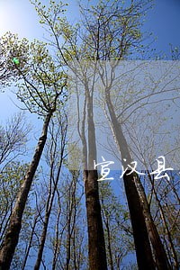 宣汉县专业债务律师 宣汉县专业债务律师