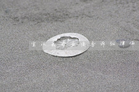 宣汉县专业债务诉讼律师团队