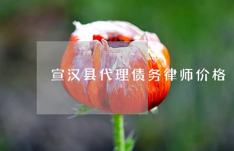 宣汉县代理债务律师价格 宣汉县代理债务律师价格