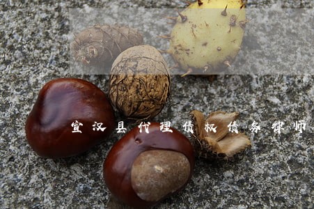 宣汉县代理债权债务律师价格 宣汉县代理债权债务律师价格