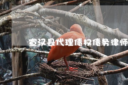 宣汉县代理债权债务律师咨询电话