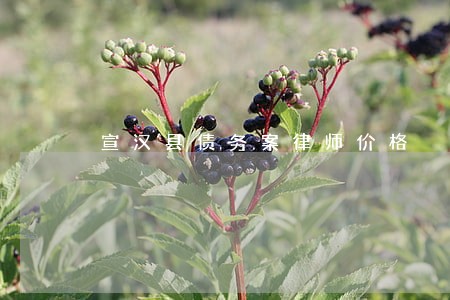 宣汉县债务案律师价格 宣汉县债务案律师价格