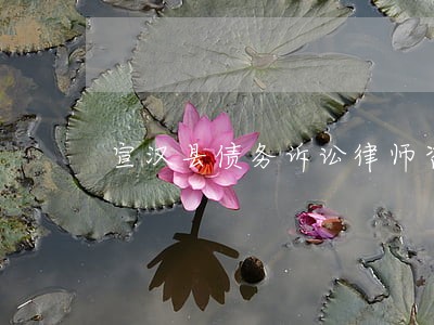 宣汉县债务诉讼律师咨询电话 宣汉县债务诉讼律师咨询电话