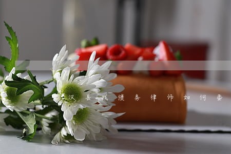 宣汉县找债务律师如何委托 宣汉县找债务律师如何委托
