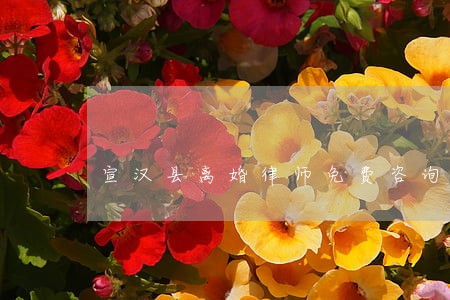 宣汉县离婚律师免费咨询 宣汉县离婚律师免费咨询