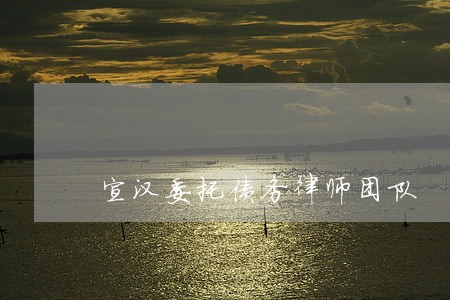 宣汉委托债务律师团队