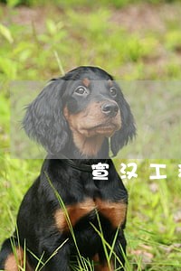 宣汉工程建筑律师查询 宣汉工程建筑律师查询