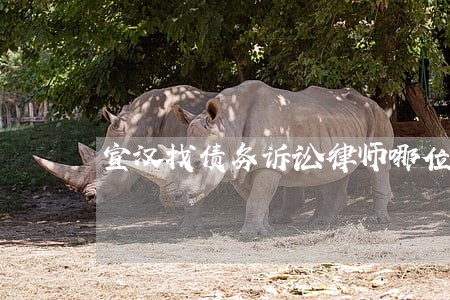 宣汉找债务诉讼律师哪位好