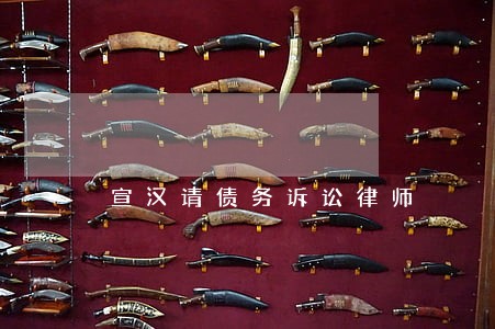 宣汉请债务诉讼律师 宣汉请债务诉讼律师