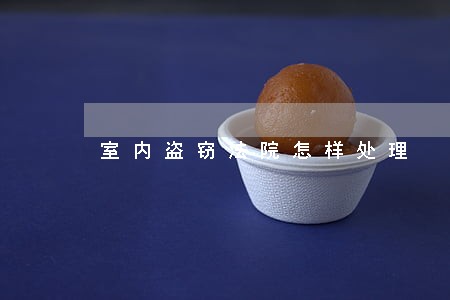 室内盗窃法院怎样处理 室内盗窃法院怎样处理