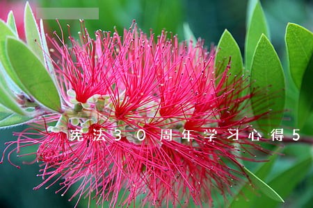 宪法30周年学习心得5篇范文 宪法30周年学习心得5篇范文