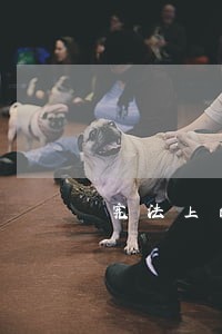 宪法上的国家权力和公权力的异同