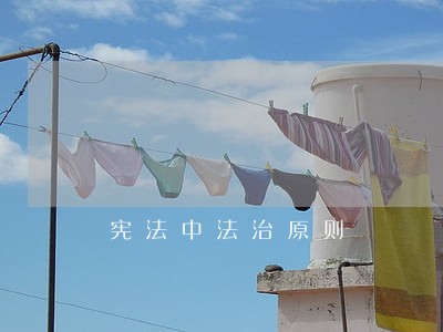 宪法中法治原则