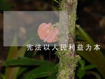 宪法以人民利益为本 宪法以人民利益为本