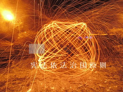 宪法依法治国原则