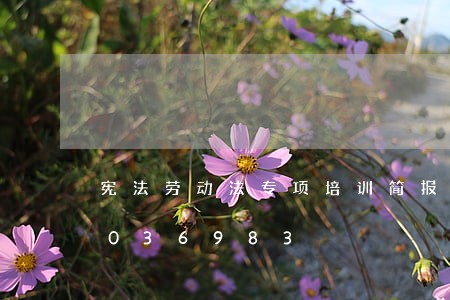 宪法劳动法专项培训简报/2023021036983 宪法劳动法专项培训简报/2023021036983