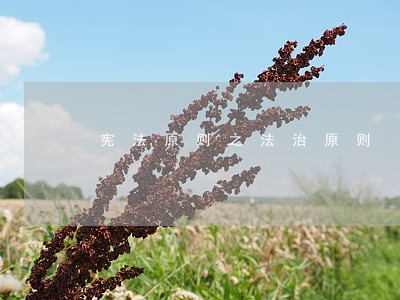 宪法原则之法治原则 宪法原则之法治原则
