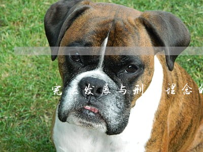 宪法发展与刑法理念的更新