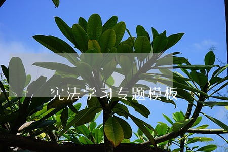 宪法学习专题模板