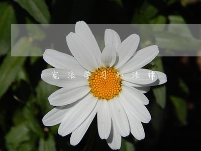 宪法学习知法律 宪法学习知法律