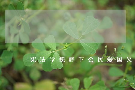 宪法学视野下公民爱国义务研究 宪法学视野下公民爱国义务研究