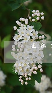 宪法宣传周口号标语条幅 宪法宣传周口号标语条幅