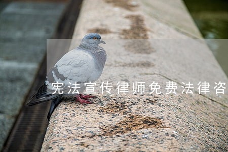 宪法宣传律师免费法律咨询