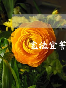 宪法宣誓仪式进行时 宪法宣誓仪式进行时