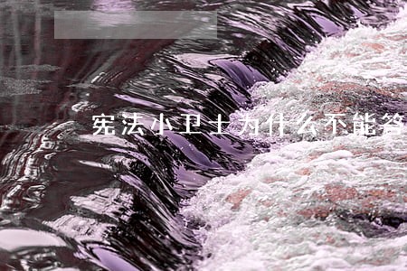 宪法小卫士为什么不能答题