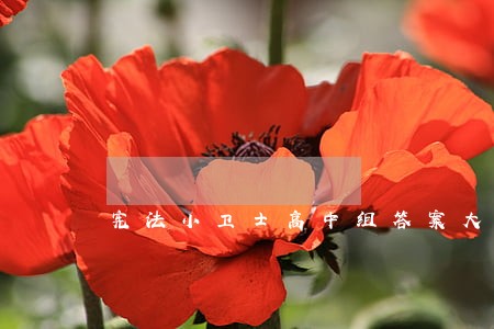 宪法小卫士高中组答案大全 宪法小卫士高中组答案大全