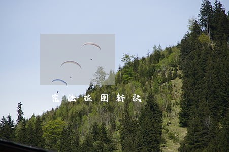 宪法挂图新款