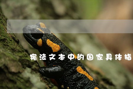 宪法文本中的国家具体指什么 宪法文本中的国家具体指什么
