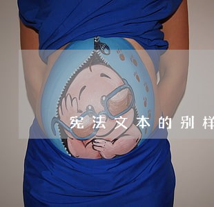 宪法文本的别样风味 宪法文本的别样风味