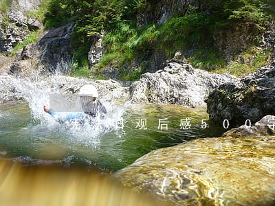 宪法日观后感500字