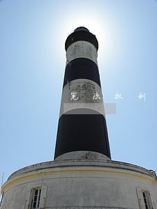 宪法权利司法化