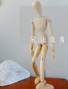 宪法没有适用性 宪法没有适用性
