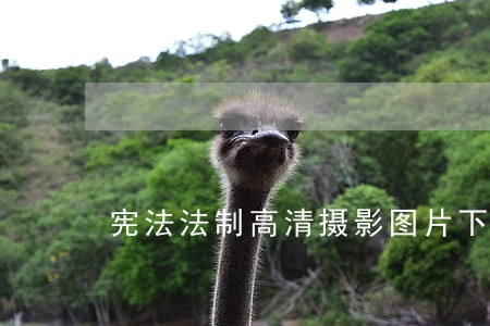 宪法法制高清摄影图片下载 宪法法制高清摄影图片下载