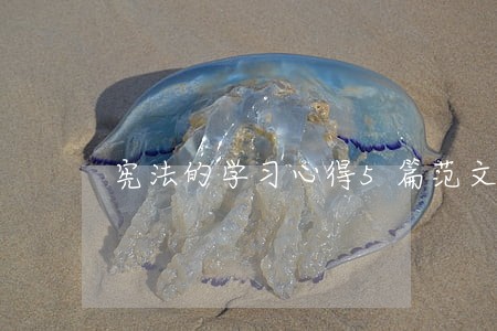 宪法的学习心得5篇范文