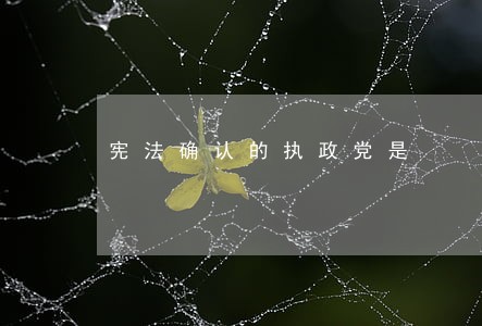 宪法确认的执政党是 宪法确认的执政党是