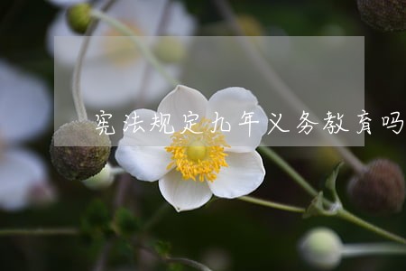 宪法规定九年义务教育吗