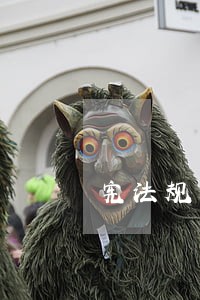 宪法规定了基本权利
