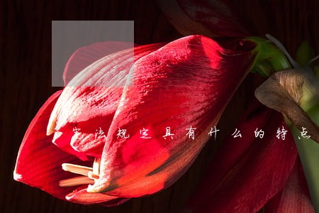 宪法规定具有什么的特点 宪法规定具有什么的特点