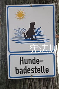 宪法规定县级人大常委会组成