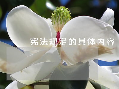 宪法规定的具体内容 宪法规定的具体内容
