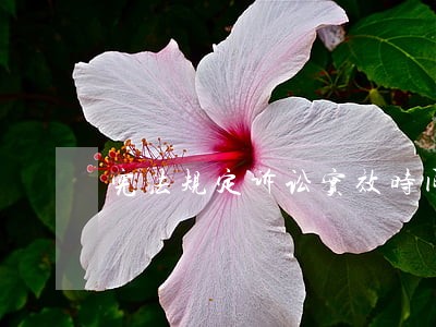 宪法规定诉讼实效时间