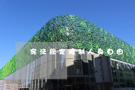 宪法规定限制人身自由 宪法规定限制人身自由