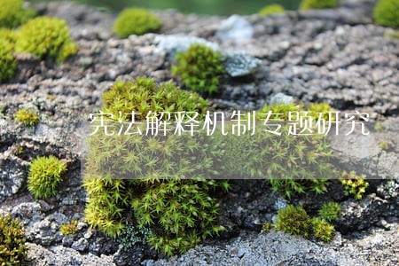 宪法解释机制专题研究 宪法解释机制专题研究