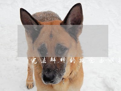 宪法解释的概念由谁提出 宪法解释的概念由谁提出