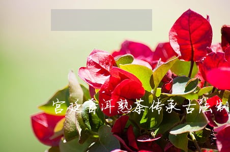 宫廷普洱熟茶传承古法制茶工艺 宫廷普洱熟茶传承古法制茶工艺
